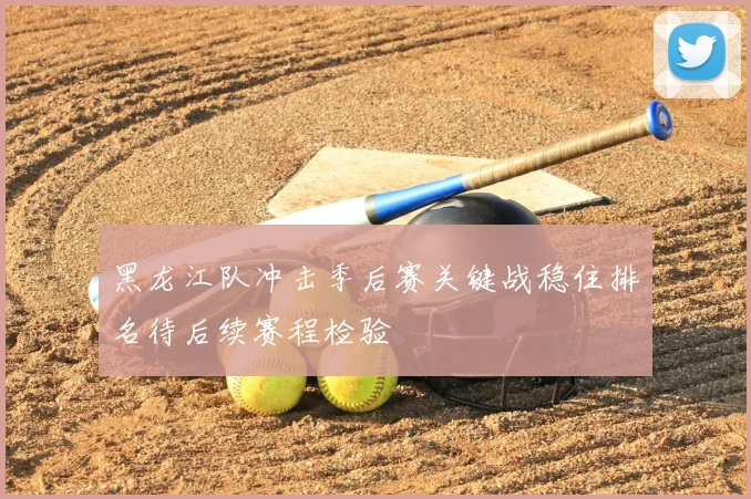 黑龙江队冲击季后赛关键战稳住排名待后续赛程检验
