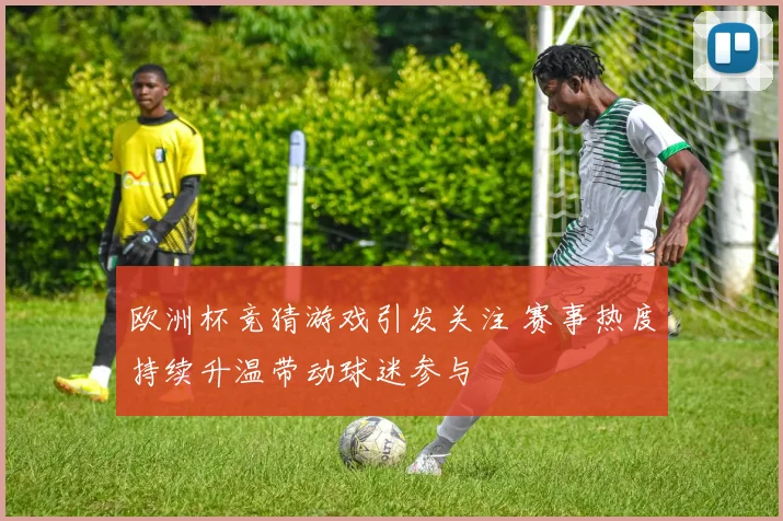 欧洲杯竞猜游戏引发关注 赛事热度持续升温带动球迷参与