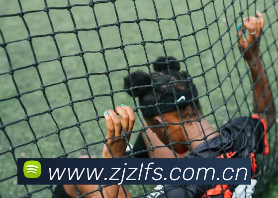 开云网页版·官方版在线登入 - 开云(中国)品牌故事